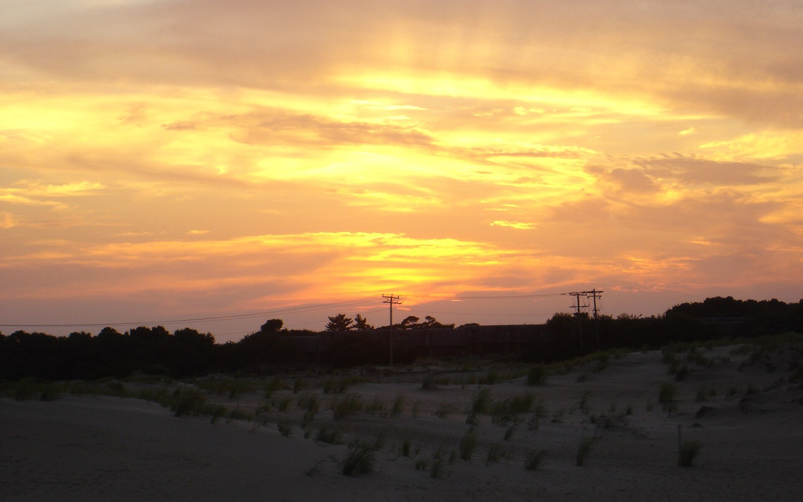 Sand dunes silhouetted against a glowing orange sunset with power lines and trees