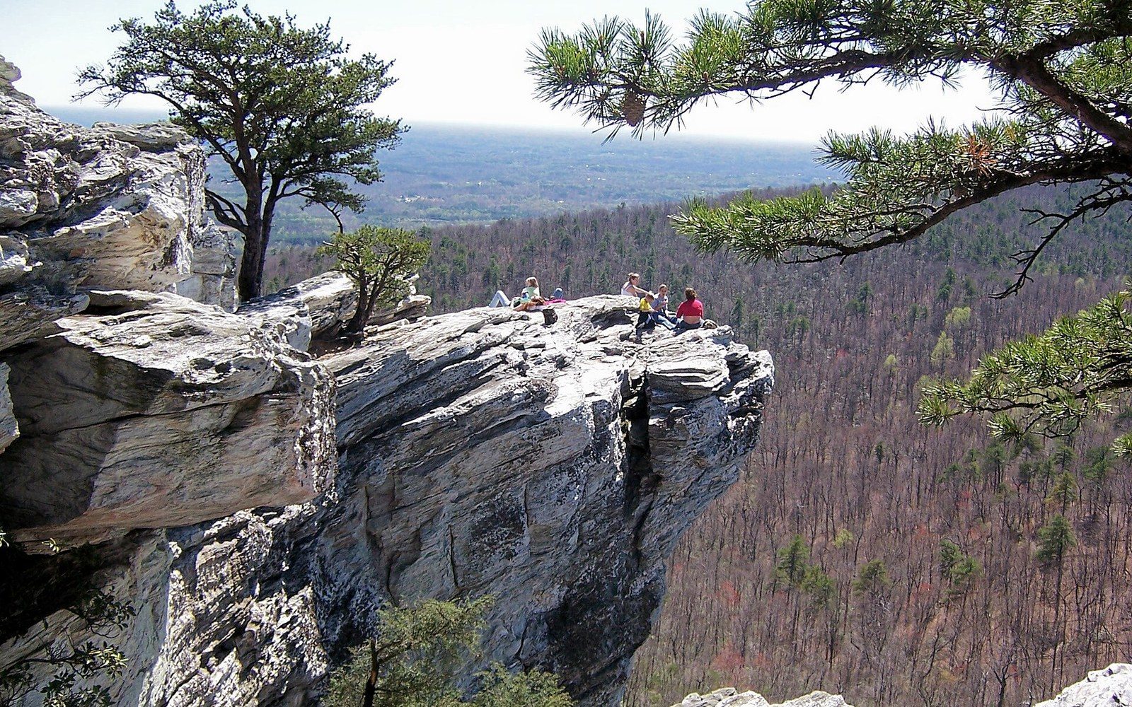 A quartzite outcrop above unbroken forest at first light, an adult standing back from the edge for scale